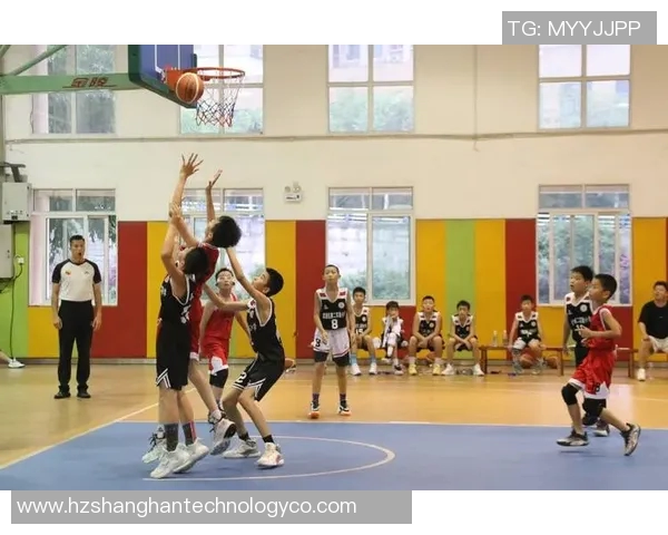 重庆篮球队在篮球意识排行榜中荣获第五名展现出色团队协作能力与战术素养